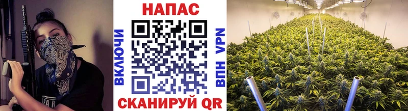 Купить закладки  Ессентуки  Канабис индика 